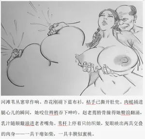 第12页图