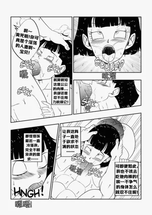 第24页图
