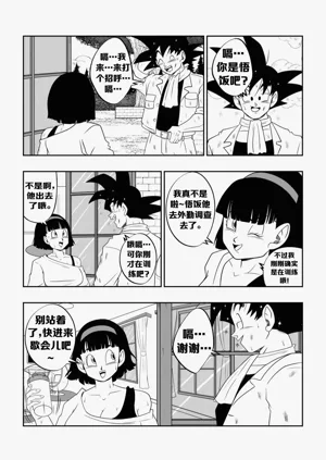 第8页图