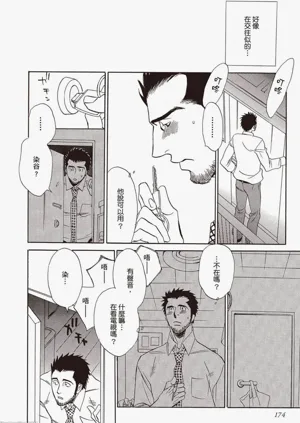 第175頁圖