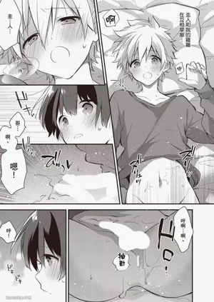 第116页图