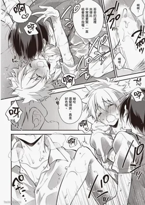 第133页图