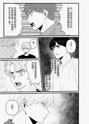 第242頁圖