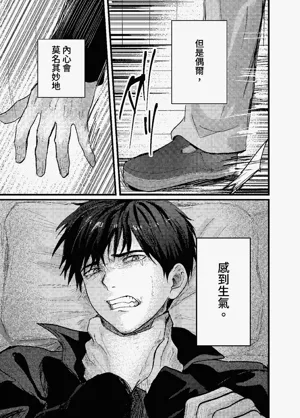 第335頁圖