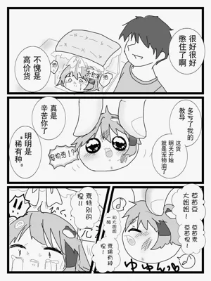 第20頁圖