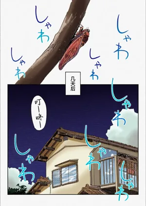 第13页图