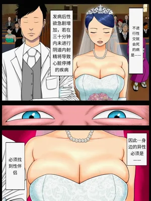 第246頁圖