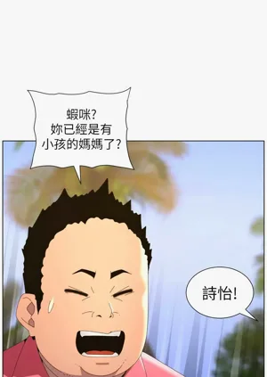 第294頁圖