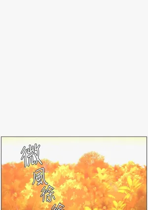 第310頁圖