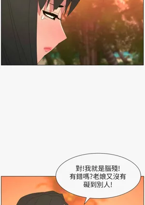 第311頁圖