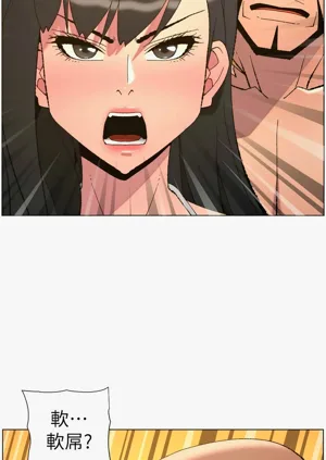 第317頁圖