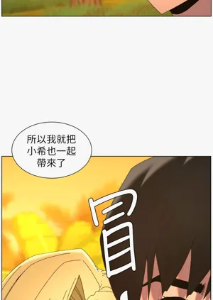 第333頁圖