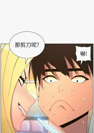 第381頁圖