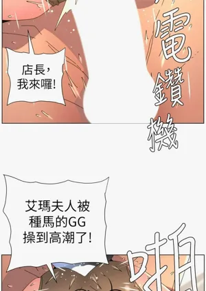 第411頁圖