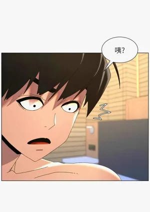 第447頁圖