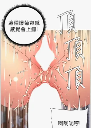 第466頁圖