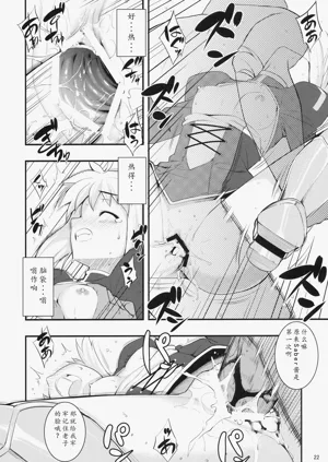 第21頁圖