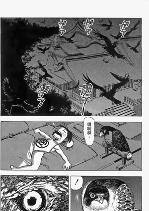 第117頁圖