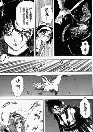 第142頁圖