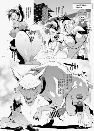 第19頁圖