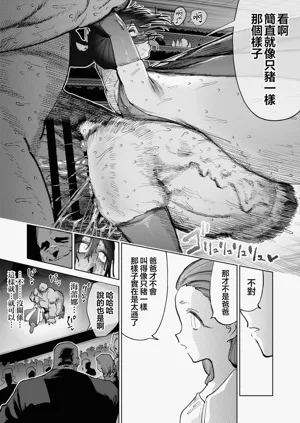 第51页图