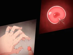 第381頁圖