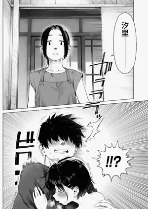 第33页图