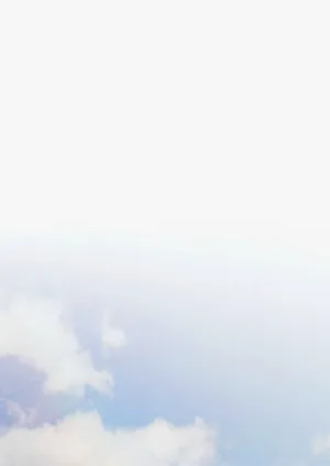 第100頁圖