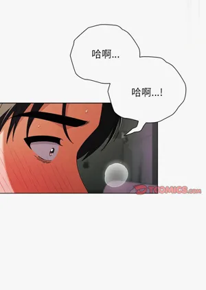 第139頁圖