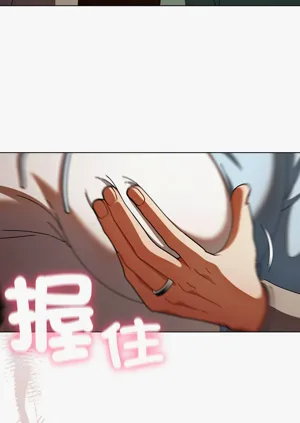 第223頁圖