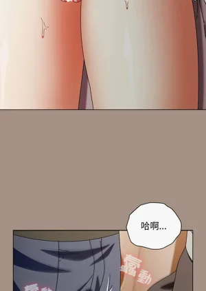 第233頁圖