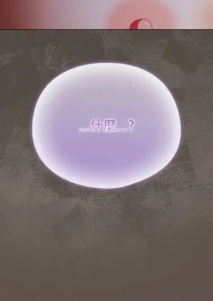第238頁圖