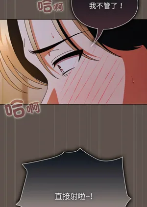 第256頁圖