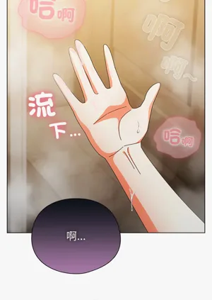 第275頁圖