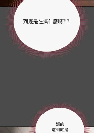 第313頁圖