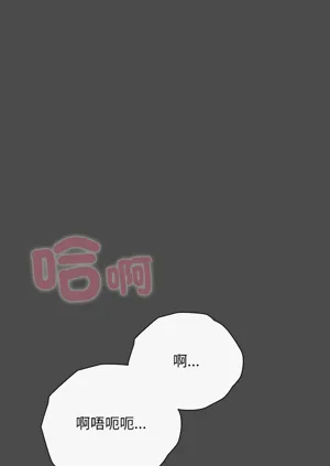 第316頁圖