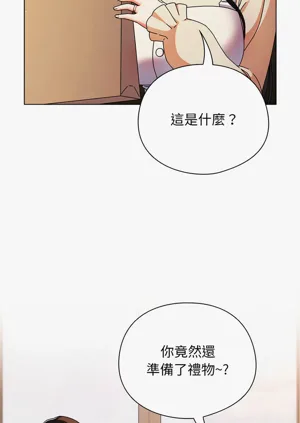 第33頁圖