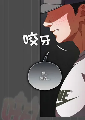 第341頁圖