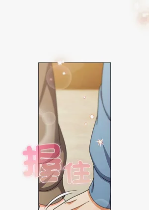 第411頁圖
