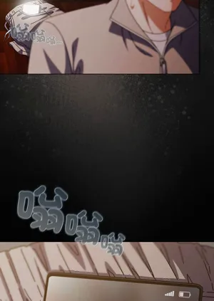 第511頁圖