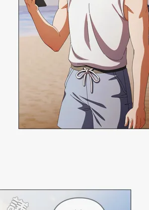 第521頁圖