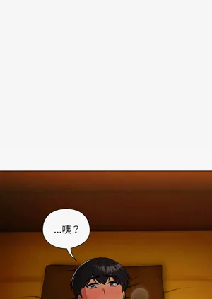 第528頁圖