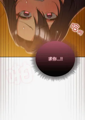 第536頁圖