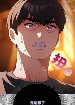 第621頁圖