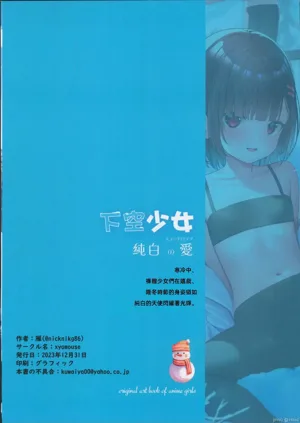 第22页图