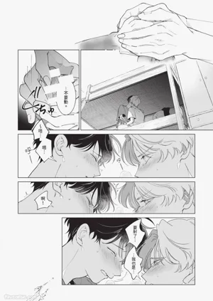 第142頁圖