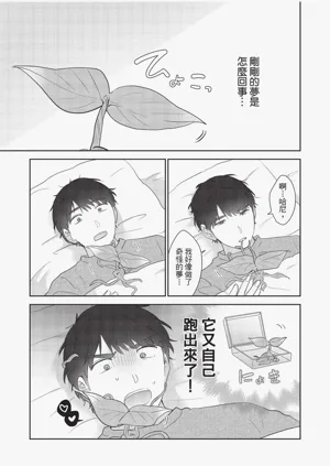 第146頁圖