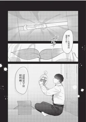 第161頁圖