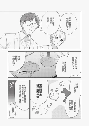 第186頁圖