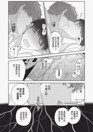 第204頁圖